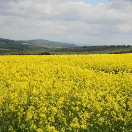 Lägenhet Stiftsherrenhaus *