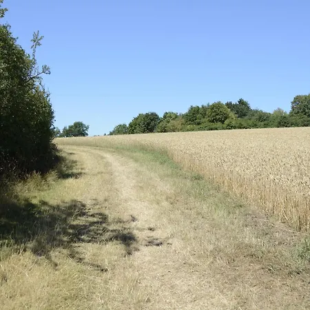 Stiftsherrenhaus Apartment *