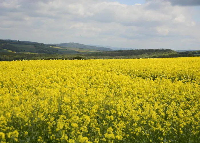Lägenhet Stiftsherrenhaus *