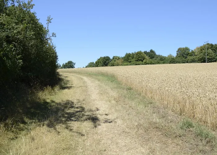 Stiftsherrenhaus Lägenhet *